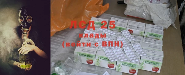 дживик Верхний Тагил