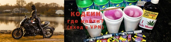 дживик Верхний Тагил