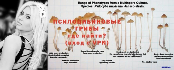 винт Бородино